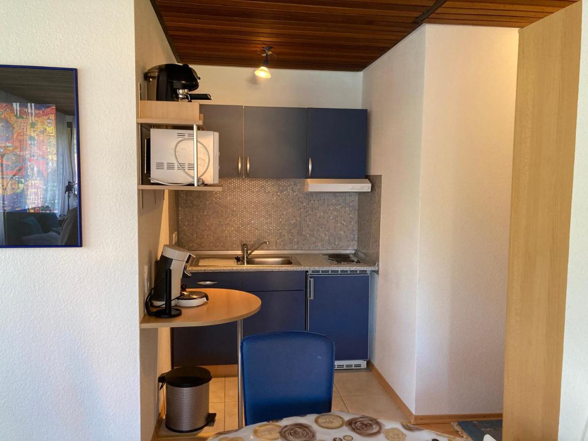 Apartamento Haus Sonne Todtmoos Exterior foto