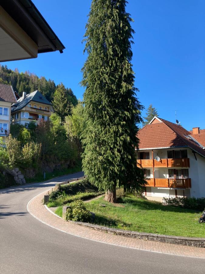 Apartamento Haus Sonne Todtmoos Exterior foto